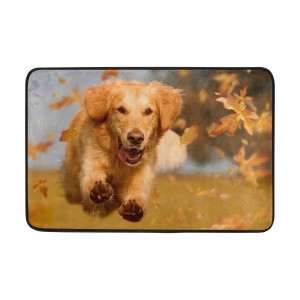 HTB104OceInI8KJjSspeq6AwIpXaL