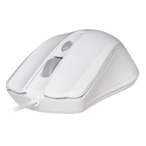 481959285423316a9558ada72de1ee5c