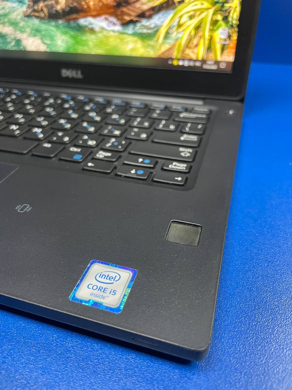 WhatsApp Image 2023-03-17 at 14.35.25