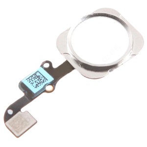 800x600-a9753a21a4b5fdb24132be7da10d3964